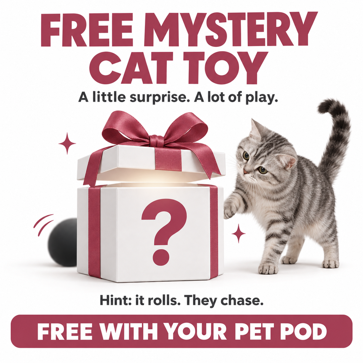 Mystery Cat Toy (Free Gift)
